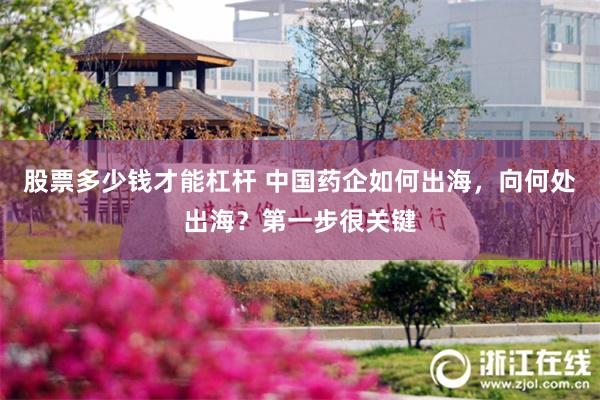 股票多少钱才能杠杆 中国药企如何出海，向何处出海？第一步很关键