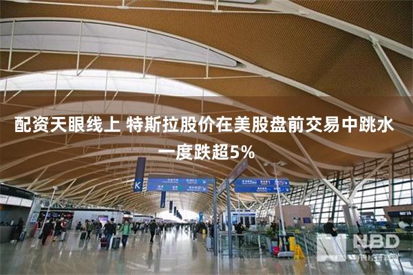 配资天眼线上 特斯拉股价在美股盘前交易中跳水 一度跌超5%
