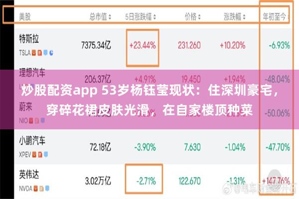 炒股配资app 53岁杨钰莹现状：住深圳豪宅，穿碎花裙皮肤光滑，在自家楼顶种菜