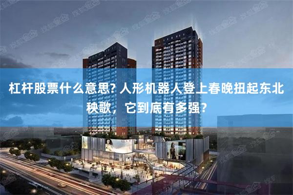 杠杆股票什么意思? 人形机器人登上春晚扭起东北秧歌，它到底有多强？