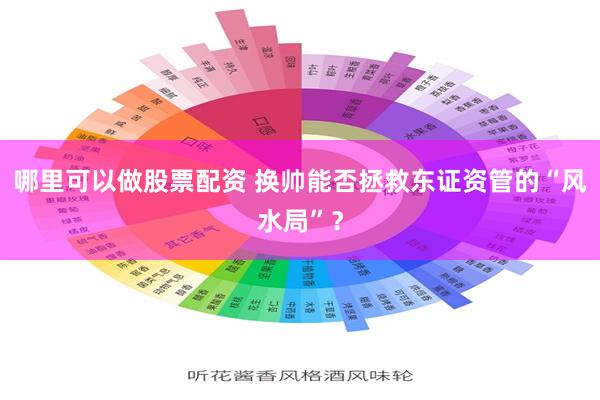 哪里可以做股票配资 换帅能否拯救东证资管的“风水局”？