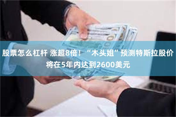 股票怎么杠杆 涨超8倍！“木头姐”预测特斯拉股价将在5年内达到2600美元