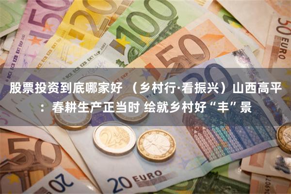 股票投资到底哪家好 （乡村行·看振兴）山西高平：春耕生产正当时 绘就乡村好“丰”景
