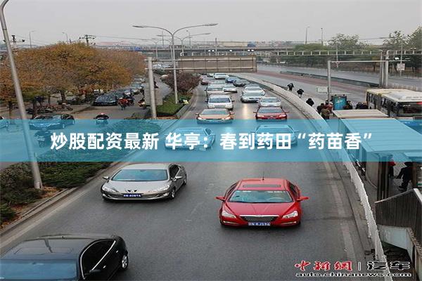 炒股配资最新 华亭：春到药田“药苗香”