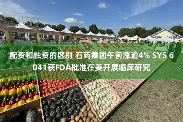 配资和融资的区别 石药集团午前涨逾4% SYS 6041获FDA批准在美开展临床研究