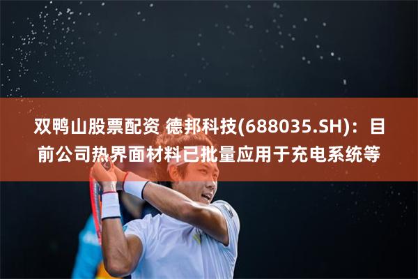 双鸭山股票配资 德邦科技(688035.SH)：目前公司热界面材料已批量应用于充电系统等