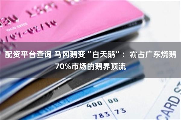 配资平台查询 马冈鹅变“白天鹅”：霸占广东烧鹅70%市场的鹅界顶流