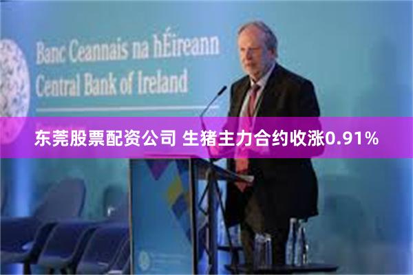 东莞股票配资公司 生猪主力合约收涨0.91%