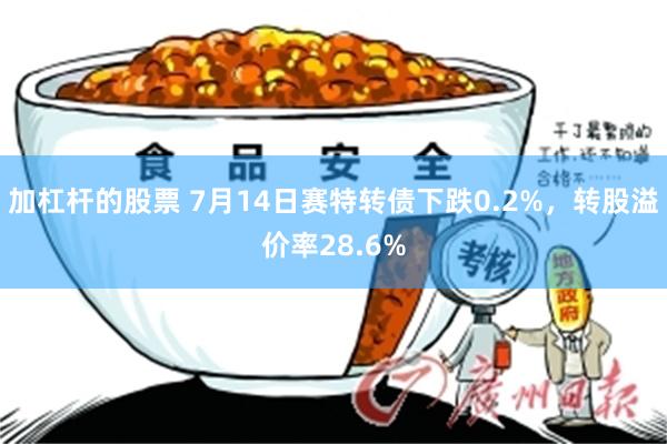 加杠杆的股票 7月14日赛特转债下跌0.2%，转股溢价率28.6%