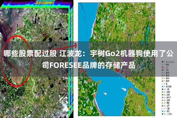 哪些股票配过股 江波龙：宇树Go2机器狗使用了公司FORESEE品牌的存储产品
