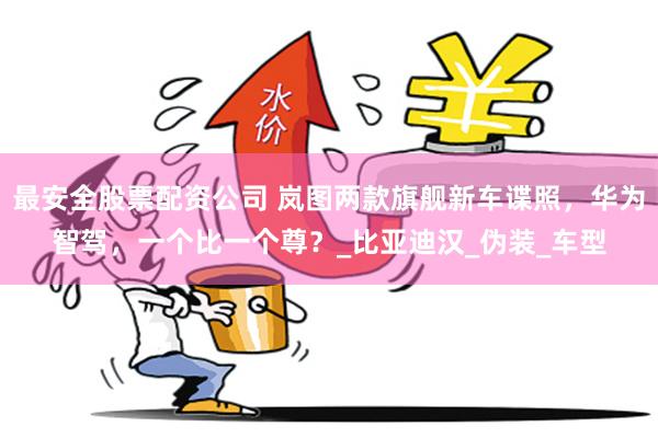 最安全股票配资公司 岚图两款旗舰新车谍照，华为智驾，一个比一个尊？_比亚迪汉_伪装_车型
