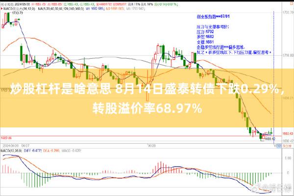 炒股杠杆是啥意思 8月14日盛泰转债下跌0.29%，转股溢价率68.97%