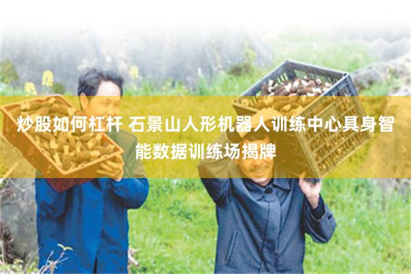 炒股如何杠杆 石景山人形机器人训练中心具身智能数据训练场揭牌