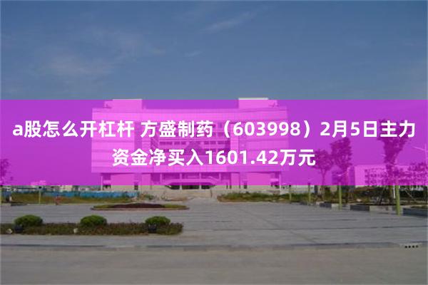 a股怎么开杠杆 方盛制药(603998)2月5日主力资金净买入1601.42万元