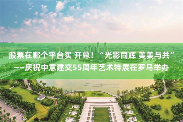 股票在哪个平台买 开幕！“光影同辉 美美与共”——庆祝中意建交55周年艺术特展在罗马举办