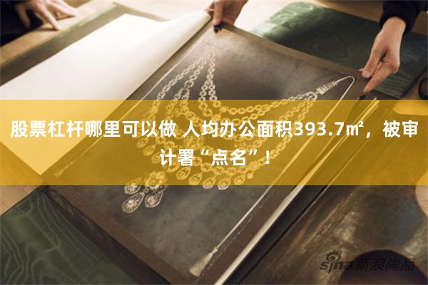 股票杠杆哪里可以做 人均办公面积393.7㎡，被审计署“点名”！
