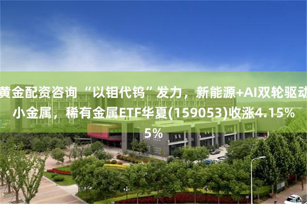 黄金配资咨询 “以钼代钨”发力，新能源+AI双轮驱动小金属，稀有金属ETF华夏(159053)收涨4.15%