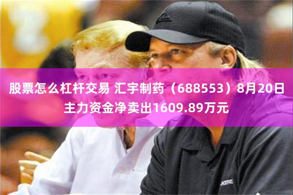 股票怎么杠杆交易 汇宇制药（688553）8月20日主力资金净卖出1609.89万元