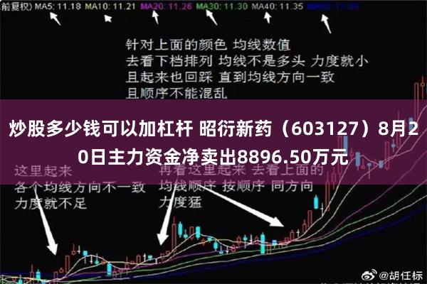 炒股多少钱可以加杠杆 昭衍新药（603127）8月20日主力资金净卖出8896.50万元