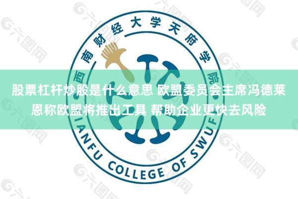 股票杠杆炒股是什么意思 欧盟委员会主席冯德莱恩称欧盟将推出工具 帮助企业更快去风险