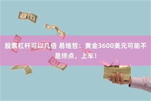 股票杠杆可以几倍 易维哲：黄金3600美元可能不是终点，上车！