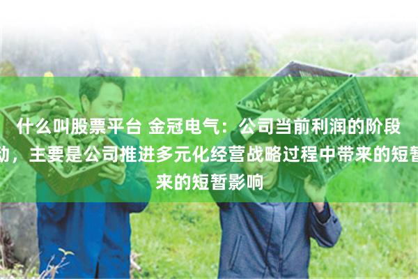 什么叫股票平台 金冠电气：公司当前利润的阶段性波动，主要是公司推进多元化经营战略过程中带来的短暂影响