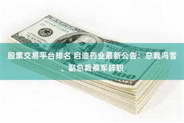 股票交易平台排名 启迪药业最新公告：总裁冯雪、副总裁蔡军辞职