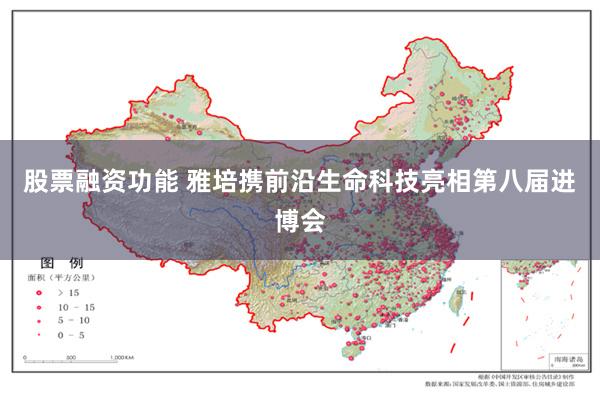 股票融资功能 雅培携前沿生命科技亮相第八届进博会