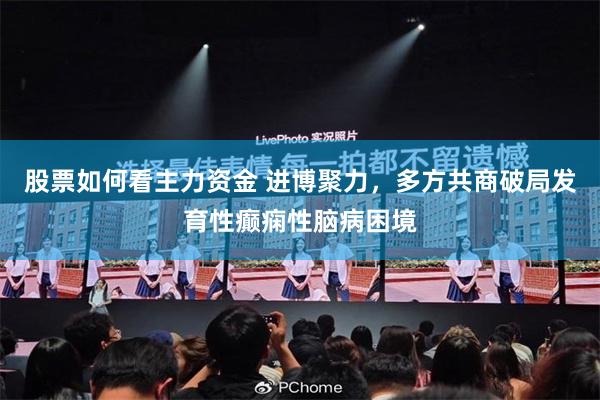 股票如何看主力资金 进博聚力，多方共商破局发育性癫痫性脑病困境