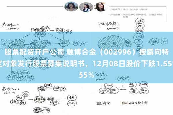 股票配资开户公司 顺博合金(002996)披露向特定对象发行股票募集说明书,12月08日股价下跌1.55%
