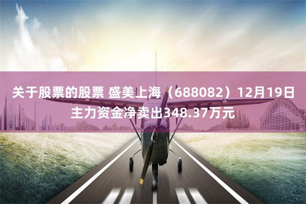 关于股票的股票 盛美上海（688082）12月19日主力资金净卖出348.37万元