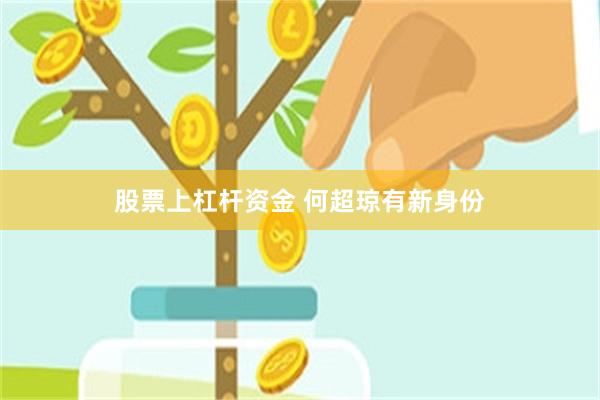 股票上杠杆资金 何超琼有新身份