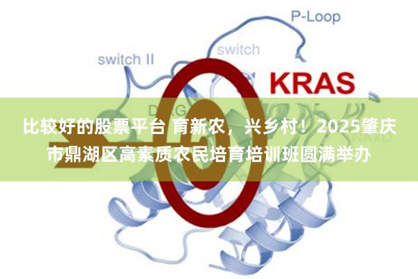比较好的股票平台 育新农,兴乡村!2025肇庆市鼎湖区高素质农民培育培训班圆满举办