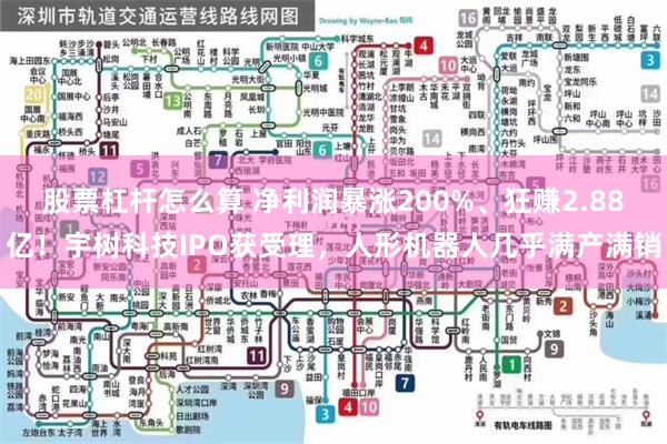 股票杠杆怎么算 净利润暴涨200%、狂赚2.88亿！宇树科技IPO获受理，人形机器人几乎满产满销