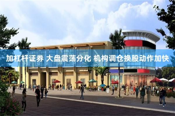 加杠杆证券 大盘震荡分化 机构调仓换股动作加快