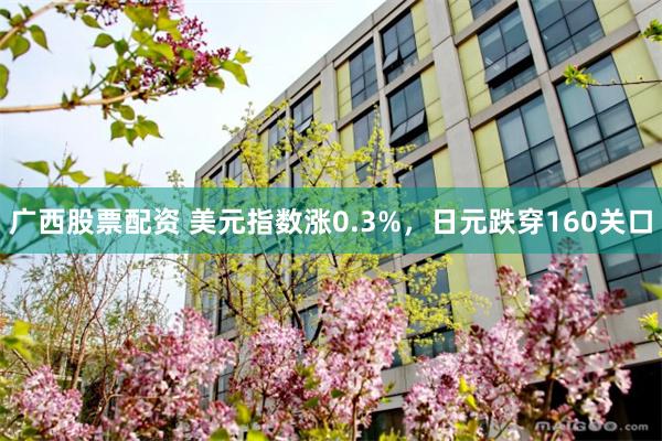 广西股票配资 美元指数涨0.3%，日元跌穿160关口