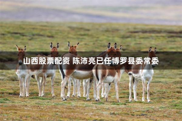 山西股票配资 陈沛亮已任博罗县委常委