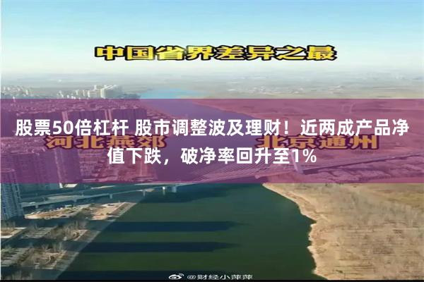 股票50倍杠杆 股市调整波及理财！近两成产品净值下跌，破净率回升至1%