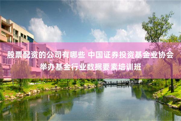 股票配资的公司有哪些 中国证券投资基金业协会举办基金行业数据要素培训班