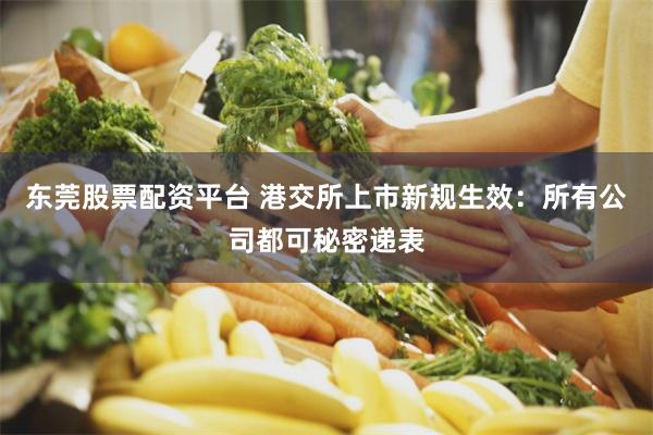 东莞股票配资平台 港交所上市新规生效：所有公司都可秘密递表