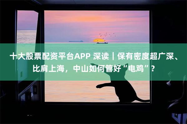 十大股票配资平台APP 深读|保有密度超广深、比肩上海,中山如何管好“电鸡”?