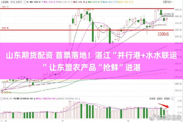 山东期货配资 首票落地！湛江“并行港+水水联运”让东盟农产品“抢鲜”进湛