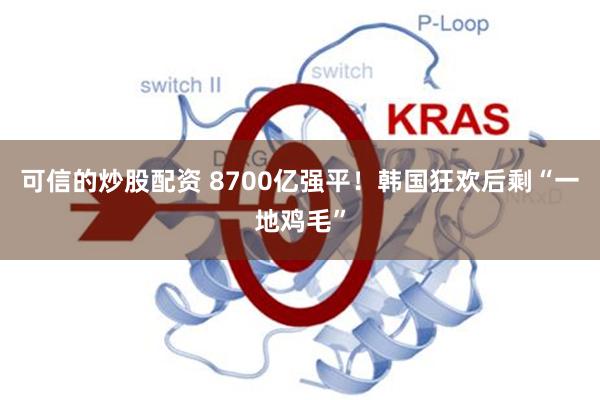 可信的炒股配资 8700亿强平！韩国狂欢后剩“一地鸡毛”