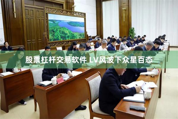股票杠杆交易软件 LV风波下众星百态