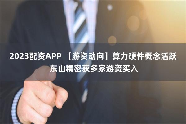 2023配资APP 【游资动向】算力硬件概念活跃 东山精密获多家游资买入
