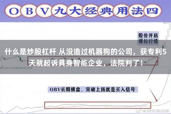 什么是炒股杠杆 从没造过机器狗的公司，获专利5天就起诉具身智能企业，法院判了！