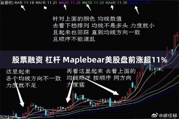 股票融资 杠杆 Maplebear美股盘前涨超11%