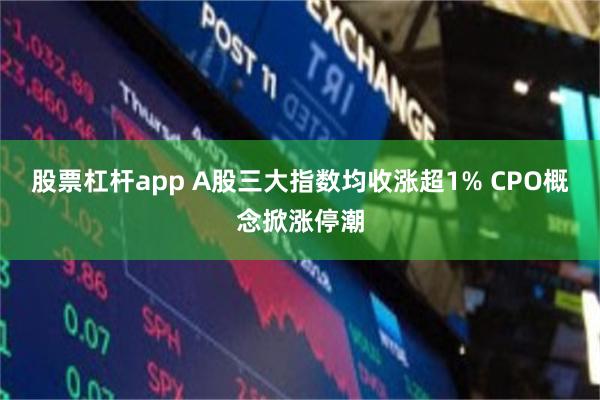 股票杠杆app A股三大指数均收涨超1% CPO概念掀涨停潮