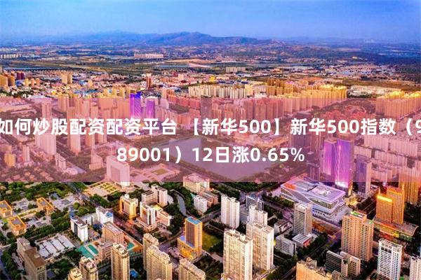 如何炒股配资配资平台 【新华500】新华500指数（989001）12日涨0.65%