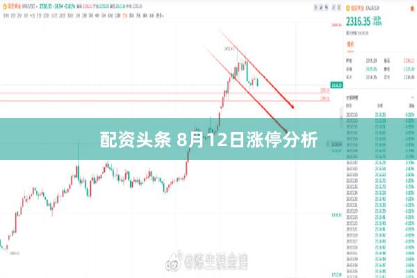 配资头条 8月12日涨停分析